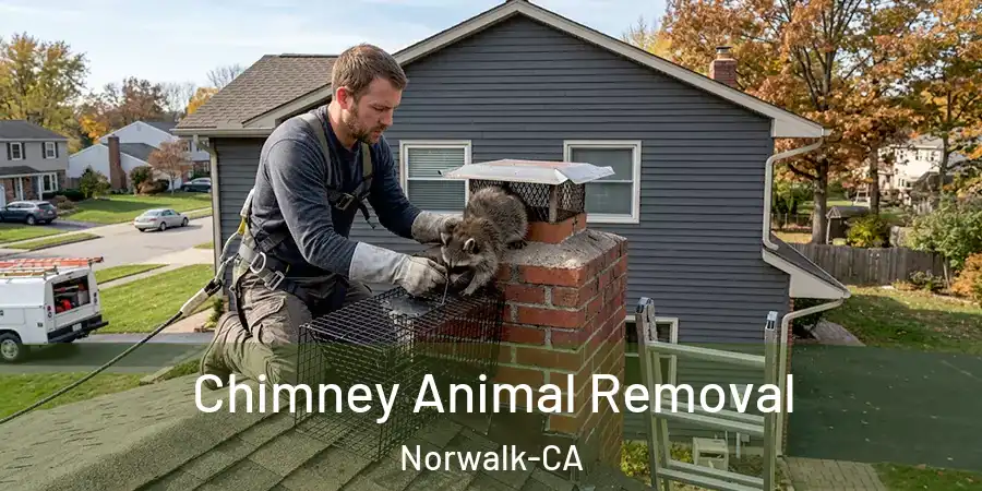 Chimney Animal Removal Norwalk-CA